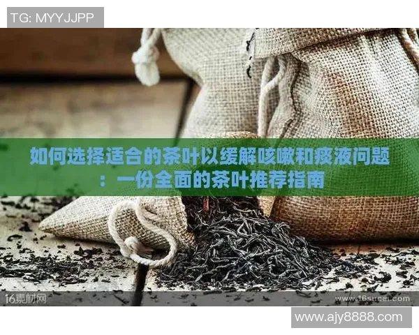 泳池水质监测与设备保养的全面指南及常见问题解决方案