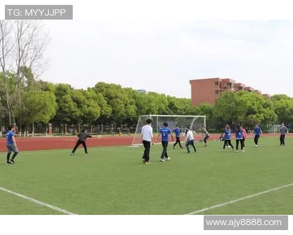 南京飞盘队心理素质分析与表现探讨:数据背后的竞技心理研究