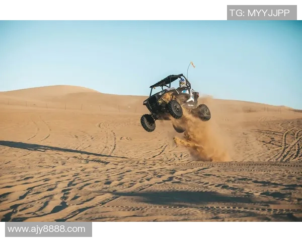 广州极限运动队的控制与发展趋势分析及其在极限运动热点中的影响