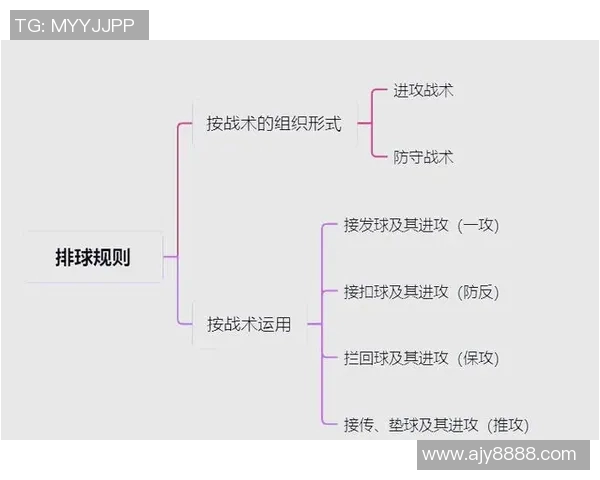 杭州排球队战术变革引发热议助力球队崛起与发展